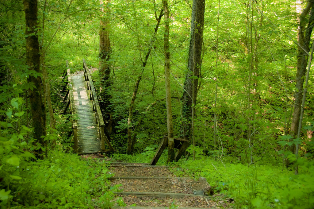 12 Parks In Kentucky To Go For Adventure