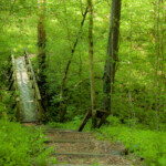 12 Parks In Kentucky To Go For Adventure