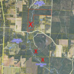 2 15 Million Expansion For Blackwater River State Forest South Santa