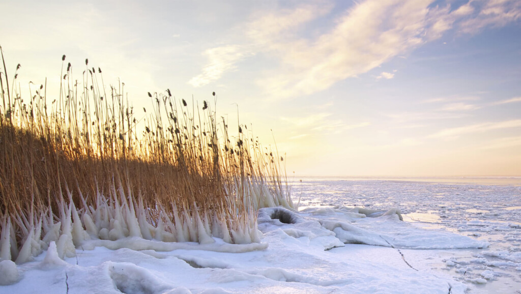 An Early Spring For Maine Lakes UMaine News