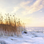 An Early Spring For Maine Lakes UMaine News