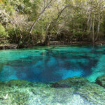 Explore Cypress Spring On Holmes Creek Walton Outdoors