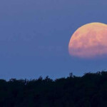 Full Moon January 2023 Australia SKY