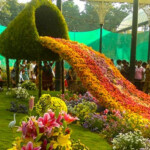 International Flower Festival Sikkim The Celebration Of Beauty