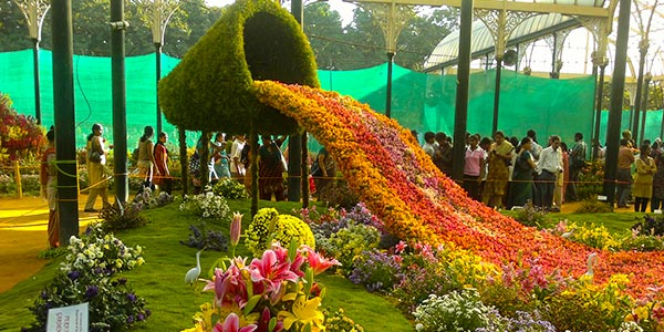 International Flower Festival Sikkim The Celebration Of Beauty