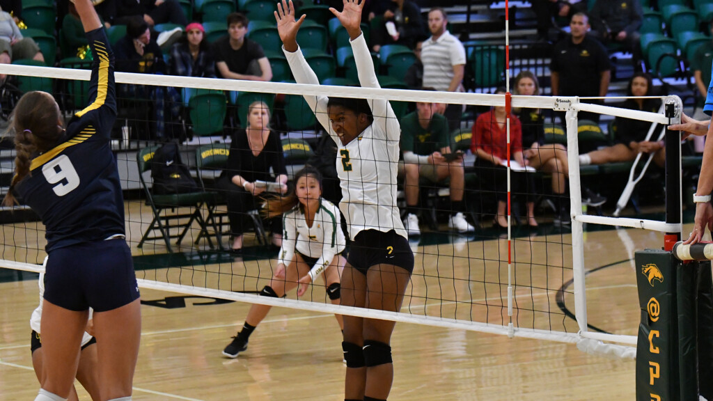 Jazminn Parrish 2020 Volleyball Cal Poly Pomona Athletics