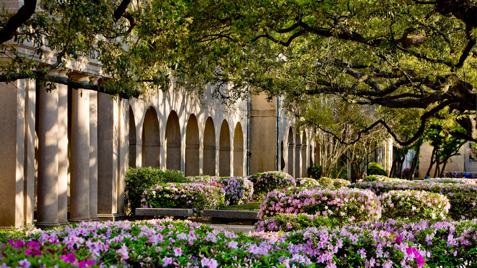 Louisiana State University SECU