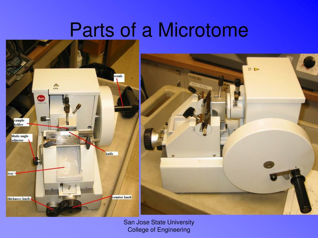 PPT Microtome S PowerPoint Presentation Free Download ID 1351432