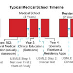 Pre Med Timeline Cal State LA