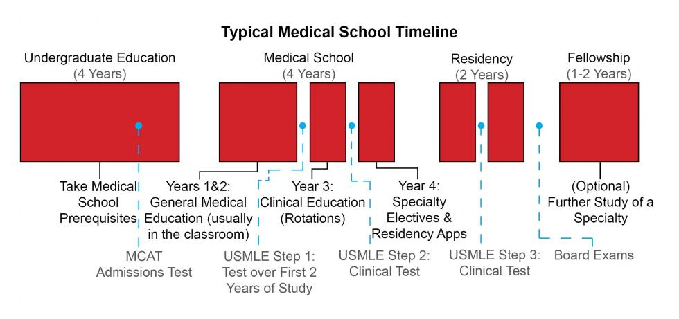 Pre Med Timeline Cal State LA