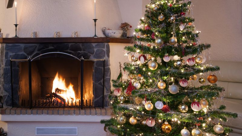 Saying Farewell To Your Festive Fir Where And How To Recycle Your 