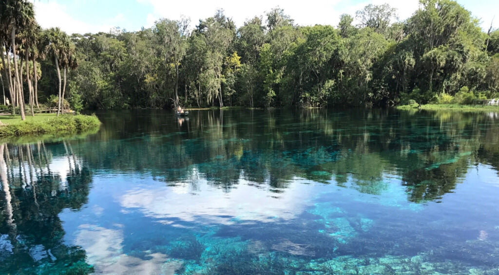 Silver Springs State Park In Florida Is Home To Hundreds Of Free 