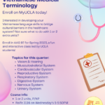 Spring 2023 Course Offering AAS 97 Vietnamese Medical Terminolog