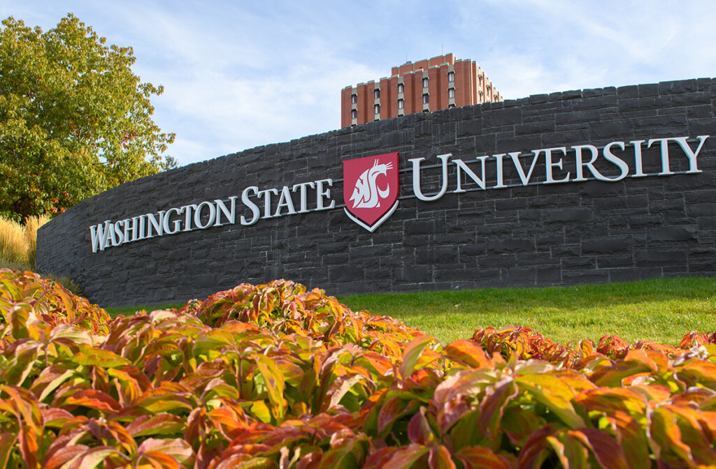 WSU Pullman Commits To Distance Learning Throughout Spring Semester 