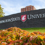 WSU Pullman Commits To Distance Learning Throughout Spring Semester