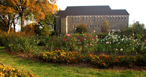 How To Spend Your Spring Break At Swarthmore The Phoenix