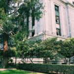 Spring Blooms In Sacramento s State Capitol Park Three Heel Clicks