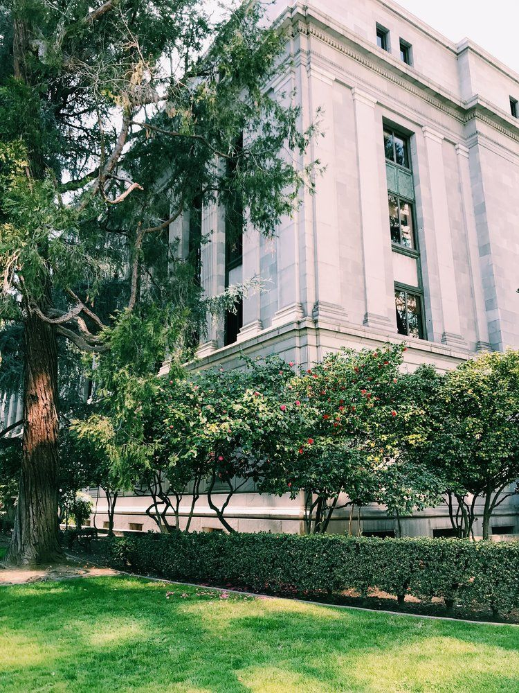 Spring Blooms In Sacramento s State Capitol Park Three Heel Clicks 