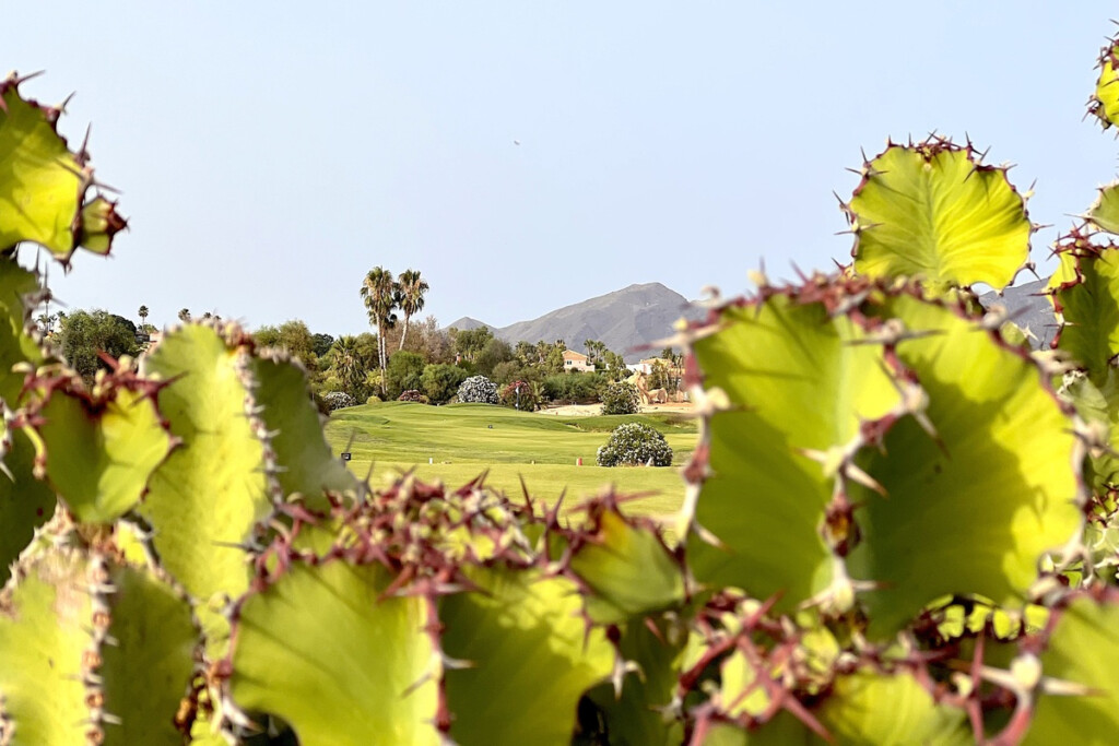 The Desert Springs Golf Club Tournament Calendar 2023 Desert Springs 