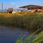 Wild Horse Hot Springs Montana Discovering Montana