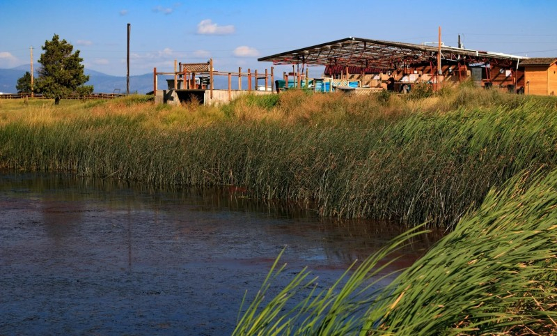 Wild Horse Hot Springs Montana Discovering Montana